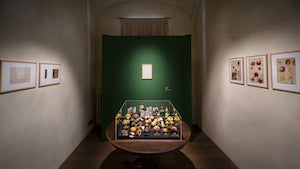 Francesco-Garnier-Valletti_Modelli-pomologici_Museo-della-Frutta-e-Accademia-di-Agricoltura_Torino.jpg