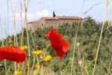 casa natale anchiano
