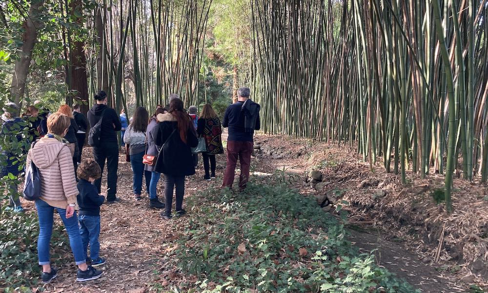 Passeggiata nel bosco di bambù parco Miradolo 1 copia
