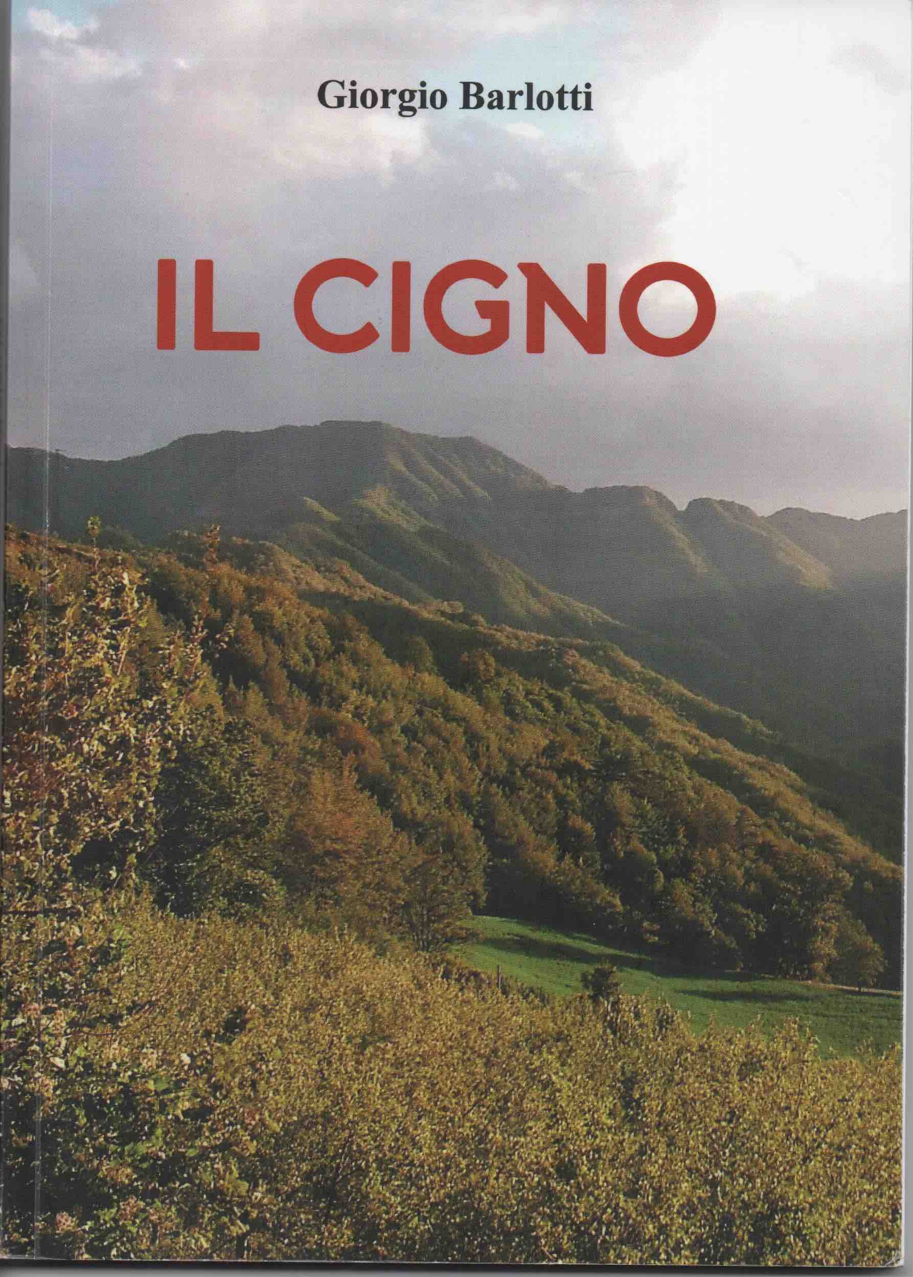 il cigno