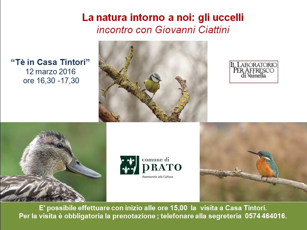 invito tè in Casa Tintori marzo